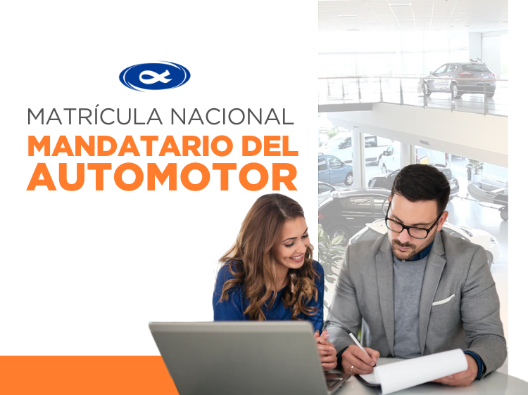 MANDATARIO REGISTRAL DEL AUTOMOTOR 2026