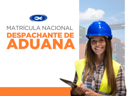 Despachante de Aduana